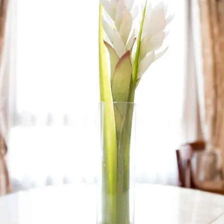 Hotel Alda De Reyes Toledo