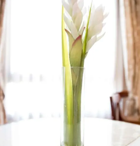 Hotel Alda De Reyes Toledo