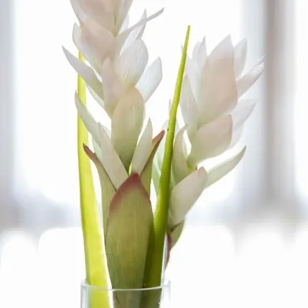 Otel Alda De Reyes 2*