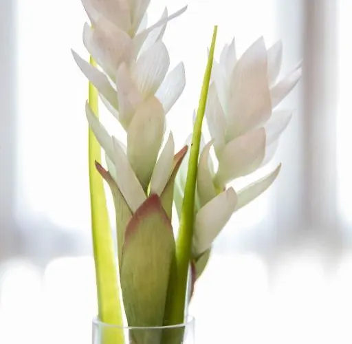 Hotel Alda De Reyes 2*